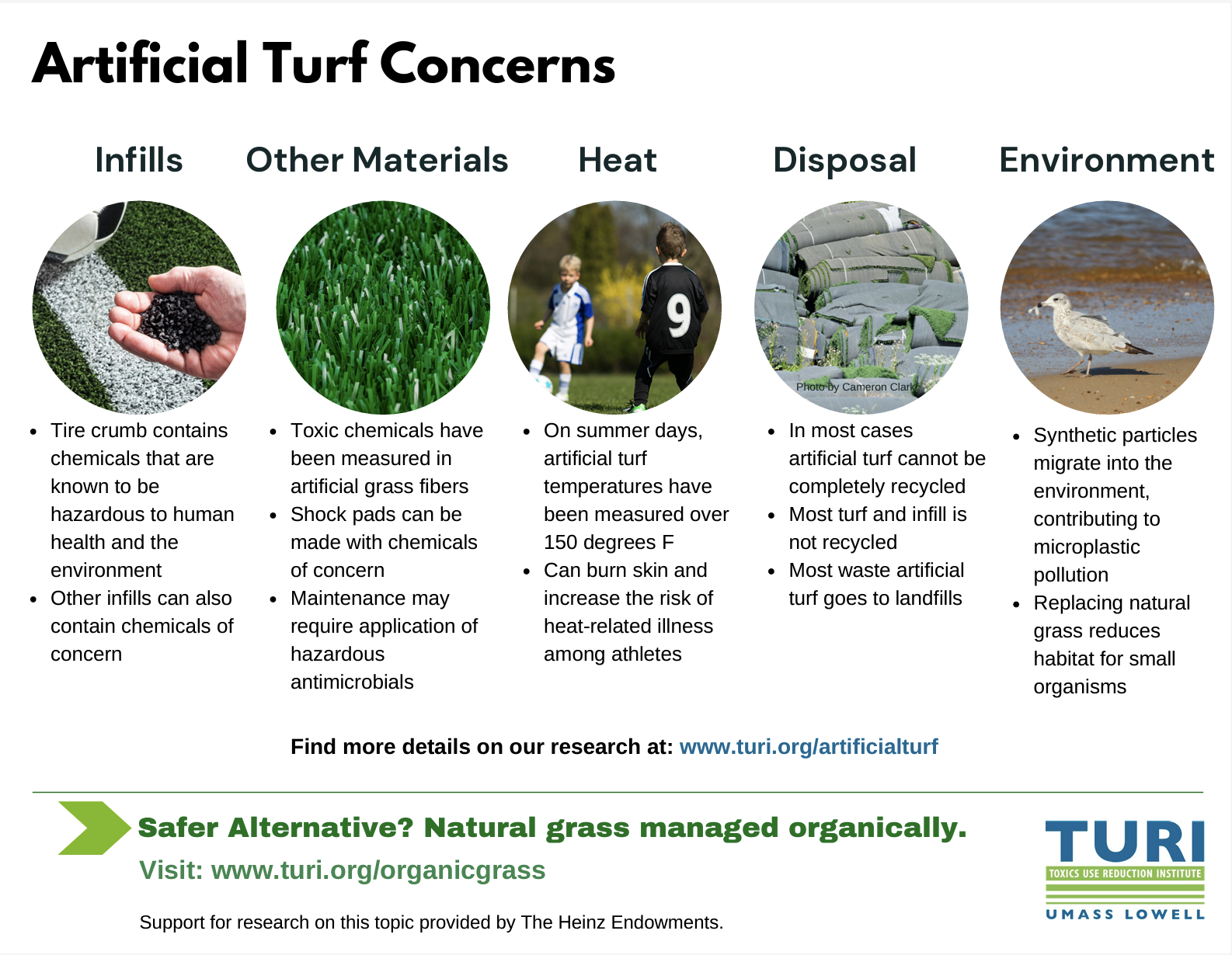 Artificial Turf Concerns